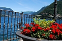 Lago di Como_226